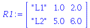 R1 := rtable(1 .. 2, 1 .. 3, [[
