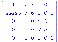 rtable(1 .. 5, 1 .. 6, [[1, 2, 3, 0, 0, 0], [quatro, 5, 6, 0, 0, 0], [0, 0, 0, a, b, 0], [0, 0, 0, d, e, 0], [0, 0, 0, 0, 0, 1]], subtype = Matrix)